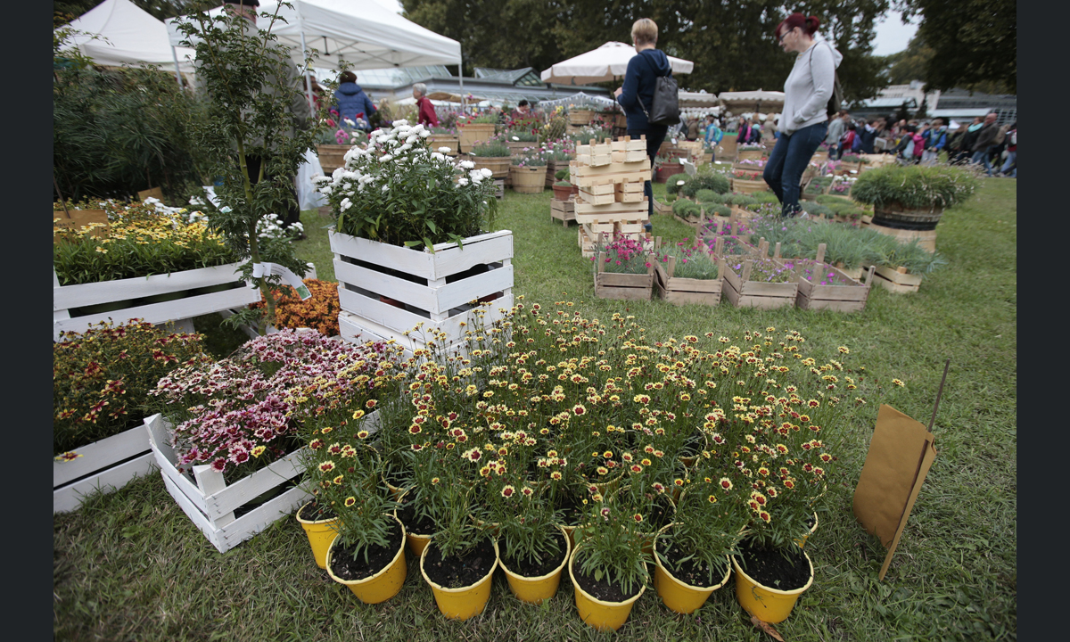 Orticolario, fiori e piante rare a Cernobbio