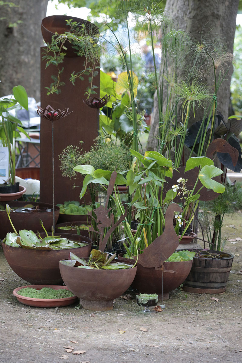 Orticolario, fiori e piante rare a Cernobbio
