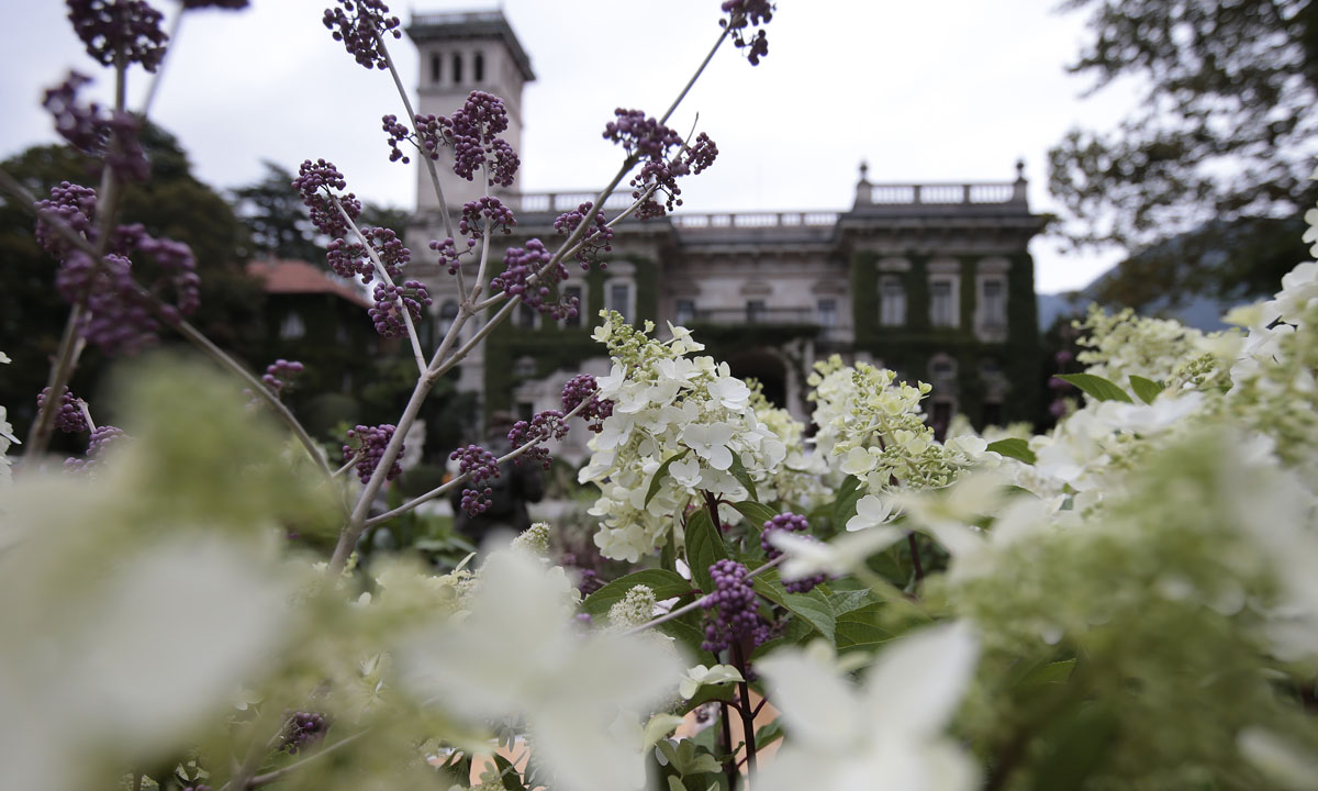 Orticolario, fiori e piante rare a Cernobbio