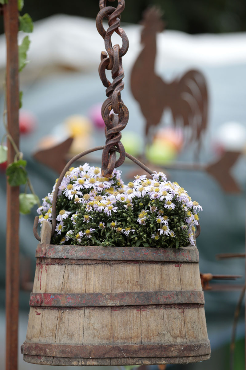 Orticolario, fiori e piante rare a Cernobbio
