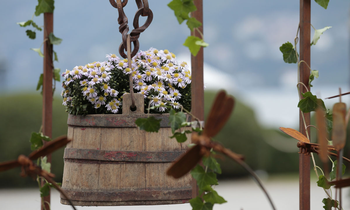 Orticolario, fiori e piante rare a Cernobbio