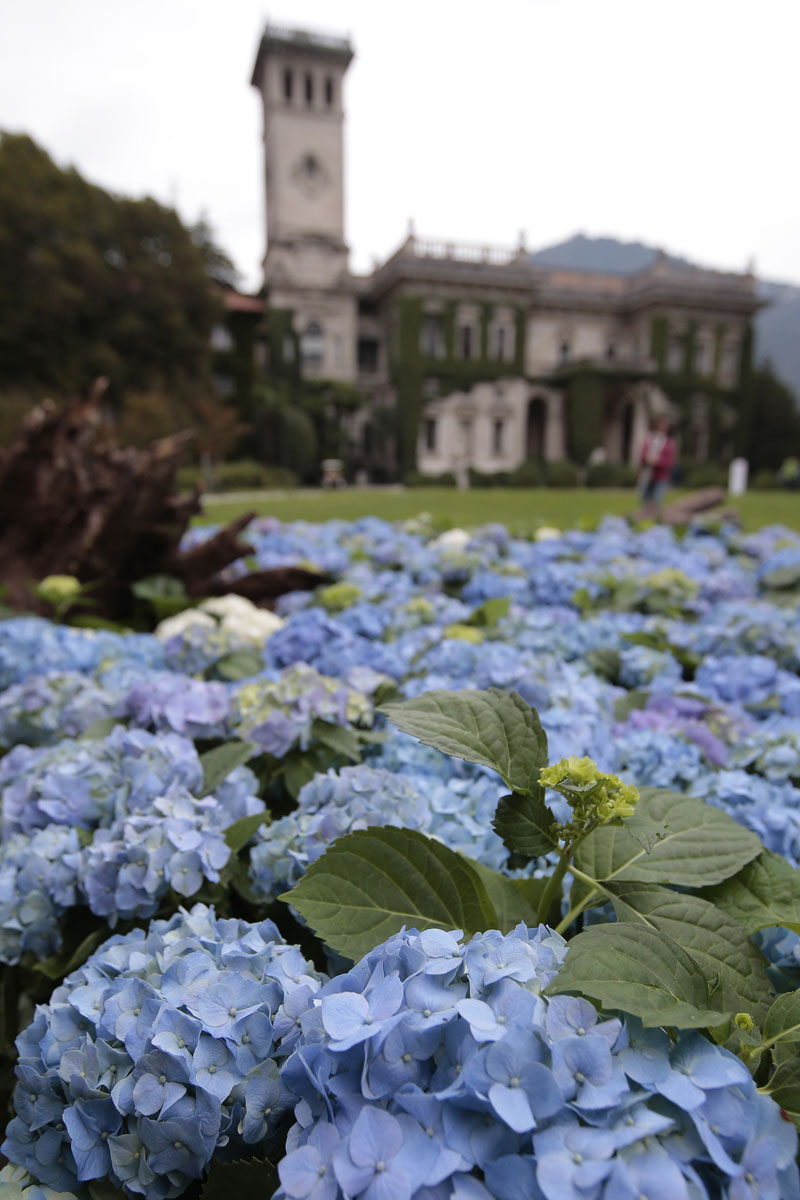 Orticolario, fiori e piante rare a Cernobbio