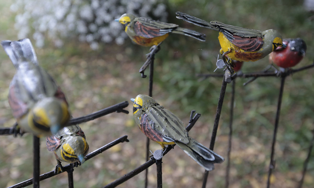 Orticolario, fiori e piante rare a Cernobbio