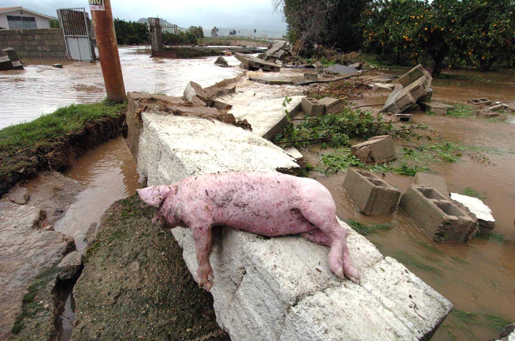 Il ciclone lascia la Sardegna, ma il maltempo attacca il resto d’Italia Il ciclone lascia la Sardegna, ma il maltempo attacca il resto d’Italia