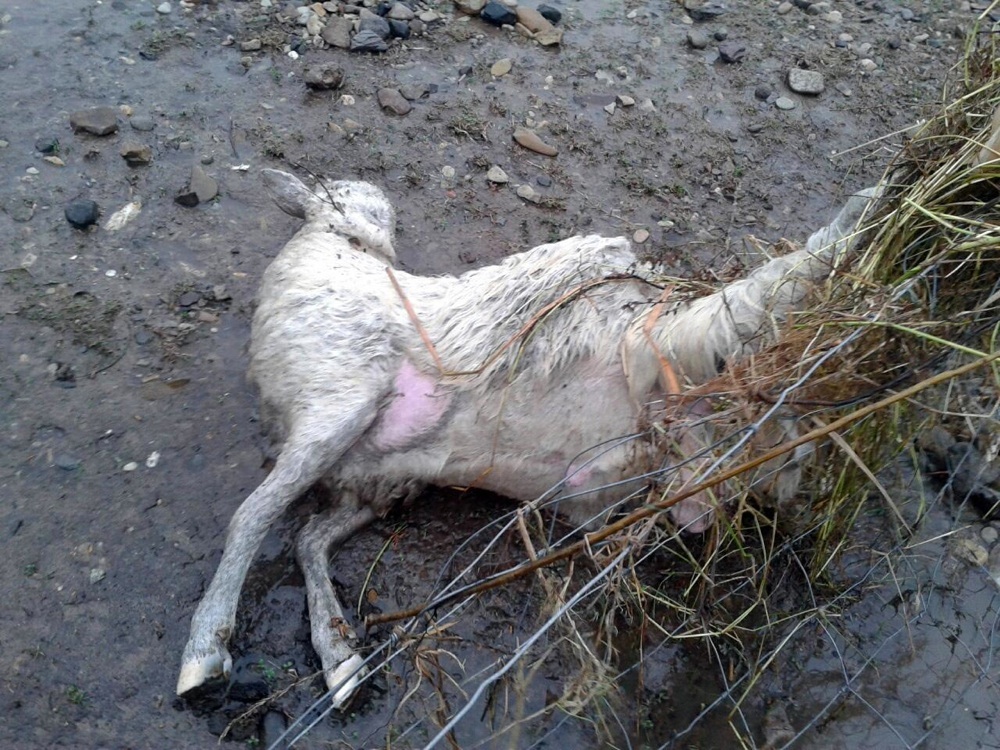 Il ciclone lascia la Sardegna, ma il maltempo attacca il resto d’Italia Il ciclone lascia la Sardegna, ma il maltempo attacca il resto d’Italia