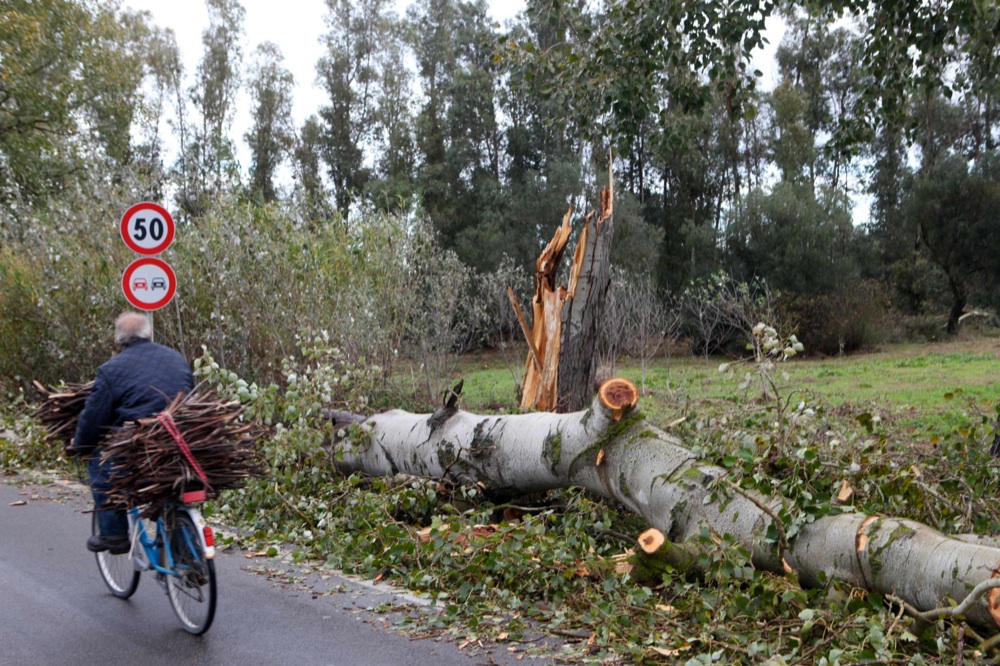 Il ciclone lascia la Sardegna, ma il maltempo attacca il resto d’Italia Il ciclone lascia la Sardegna, ma il maltempo attacca il resto d’Italia