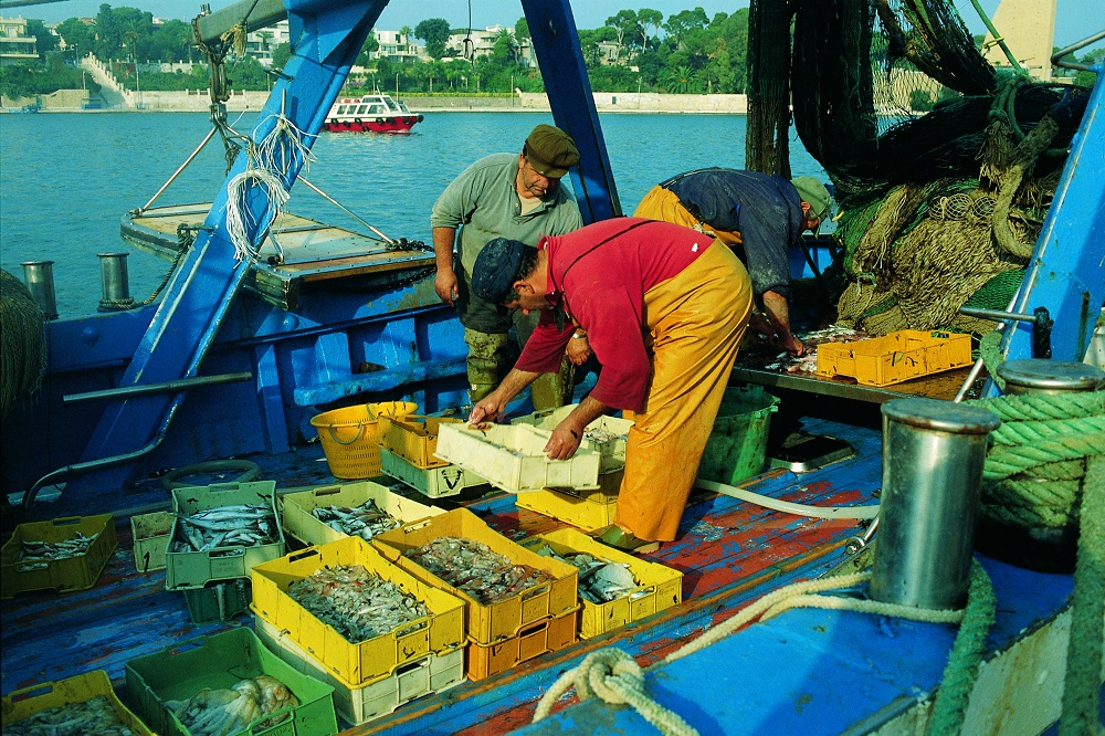 The secrets of Apulia’s cuisine The secrets of Apulia’s cuisine