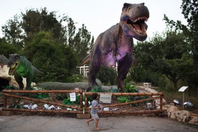 A Prehistoric Park in Tuscany