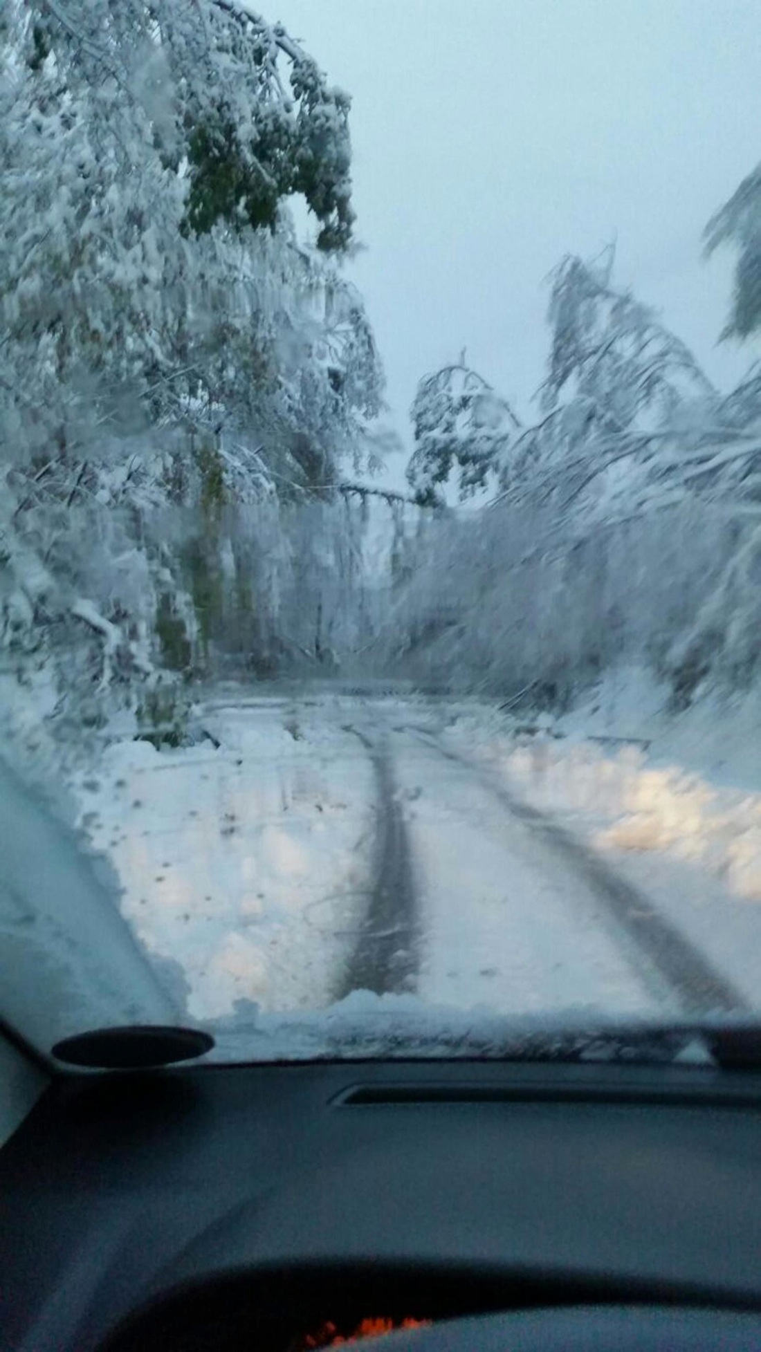 Maltempo, il Molise paralizzato da neve e pioggia – Foto