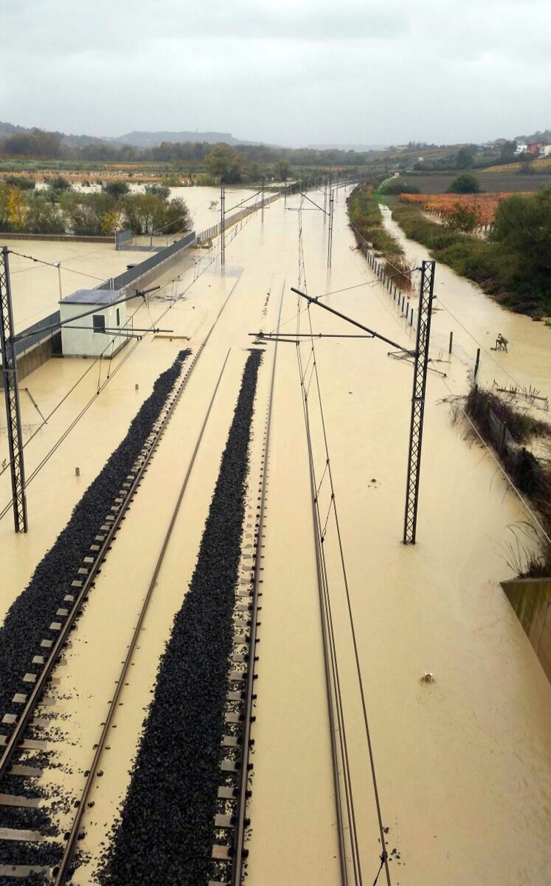 Maltempo, il Molise paralizzato da neve e pioggia – Foto