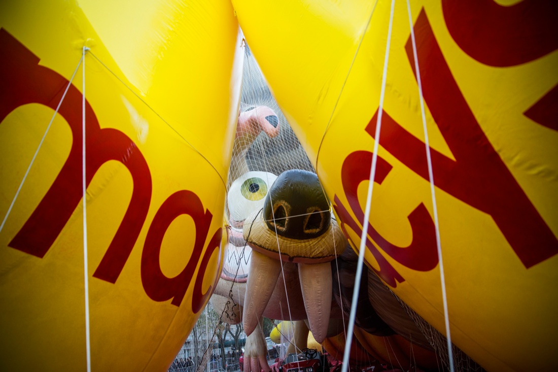 Thanksgiving day 2015, le foto più belle