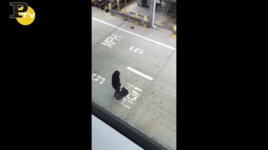 All’aeroporto i bagagli gettati come nel lancio del peso
