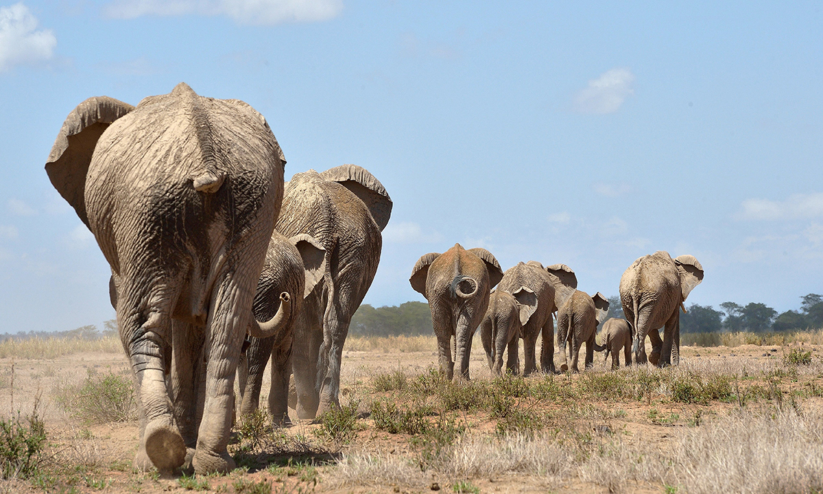 Animali, le foto più belle del mese – Novembre