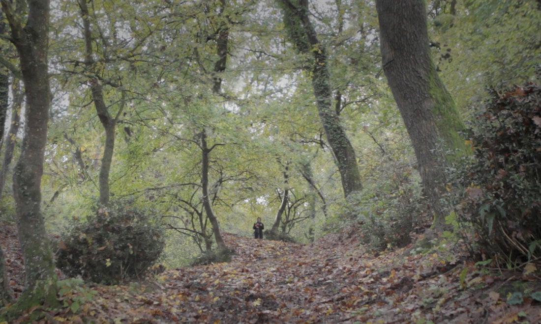 A Bigger Splash e gli altri film in uscita al cinema, 26 novembre 2015 A Bigger Splash e gli altri film in uscita al cinema, 26 novembre 2015