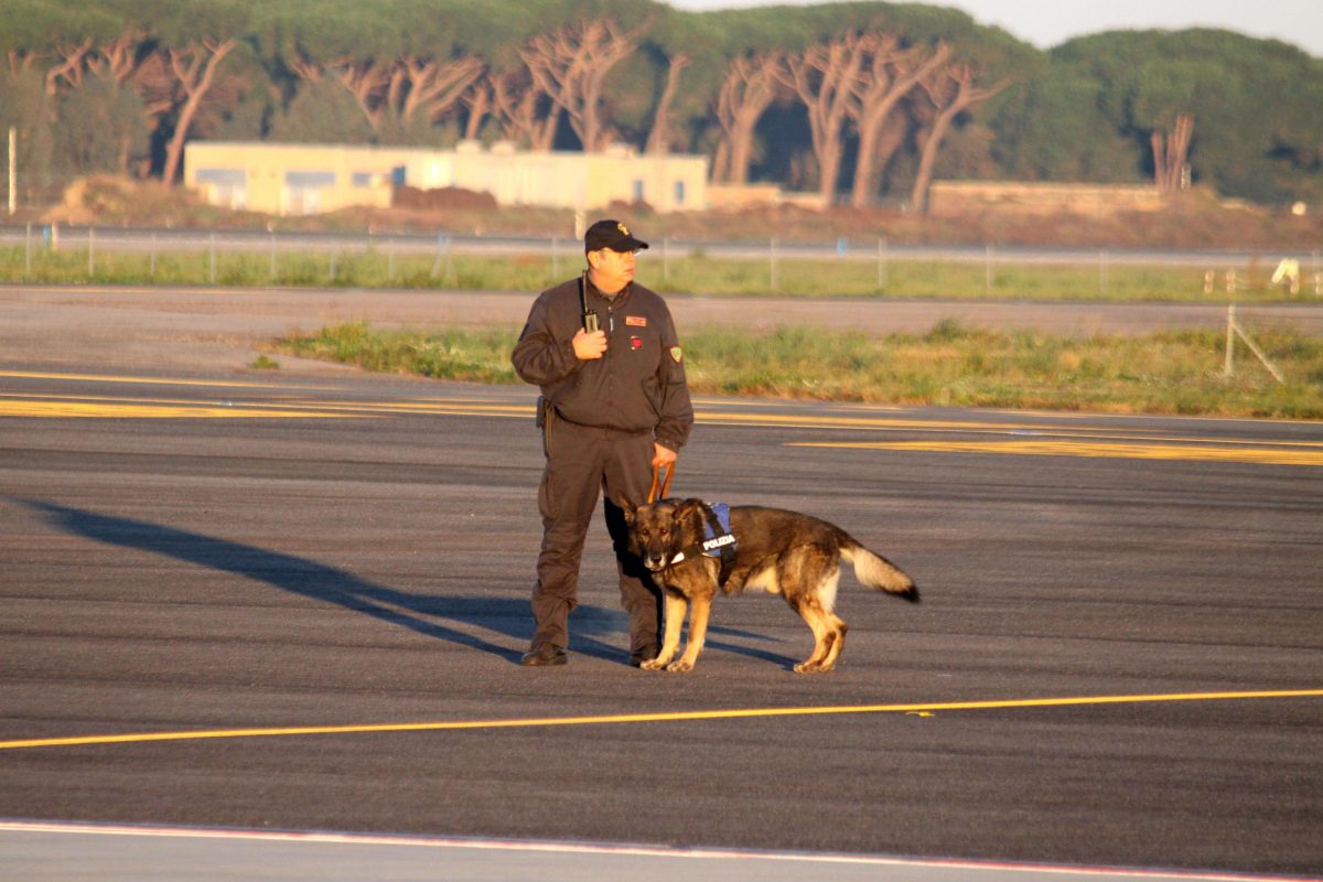 Galleria foto 'L’Africa del viaggio di Papa Francesco' - foto 10