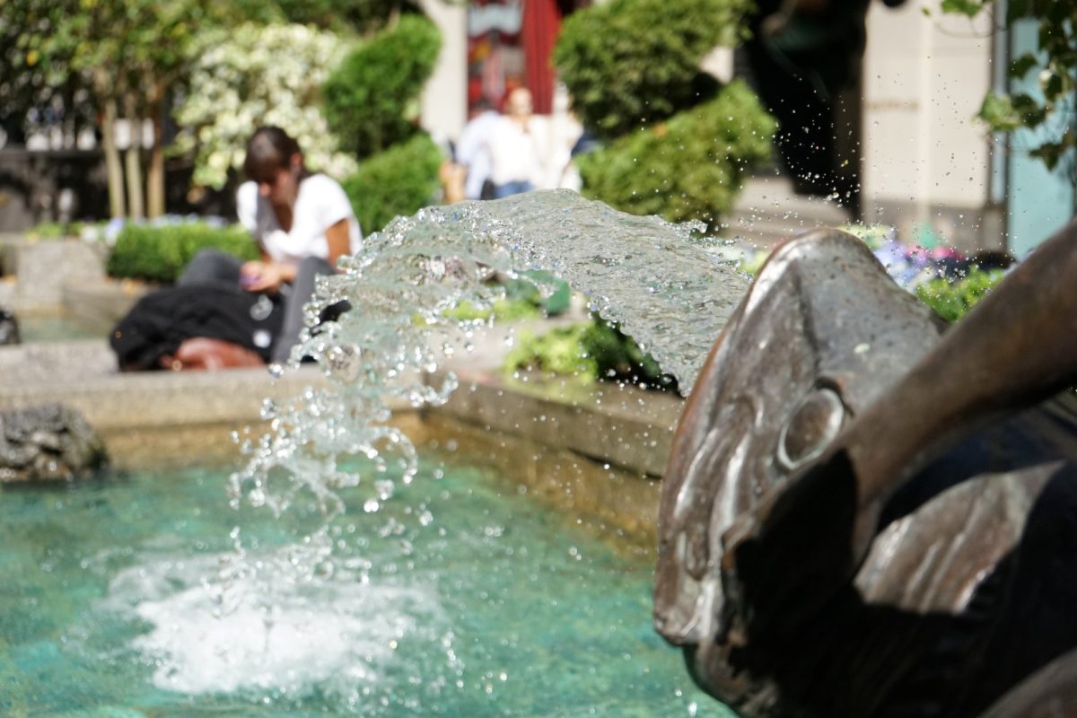 Galleria foto 'Sony A7 II, A7S II e A7R II: ecco spiegate le differenze' - foto 36