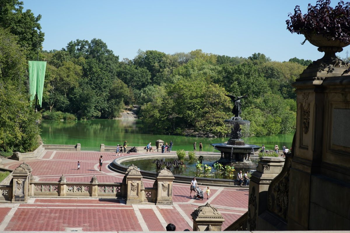 Galleria foto 'Sony A7 II, A7S II e A7R II: ecco spiegate le differenze' - foto 15