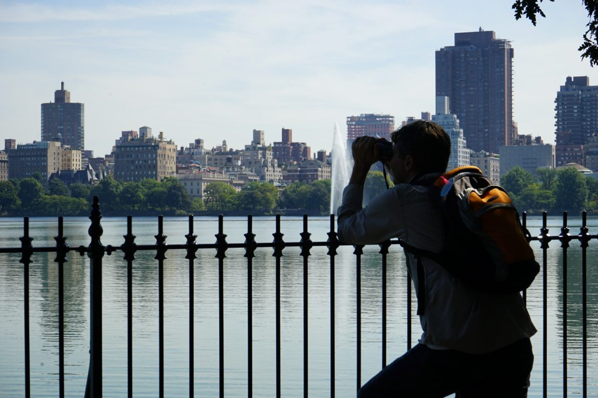 Galleria foto 'Sony A7 II, A7S II e A7R II: ecco spiegate le differenze' - foto 17