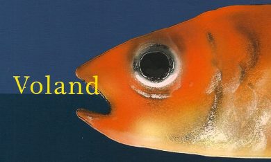 Ilaria Gaspari, ‘Etica dell’acquario’ – La recensione