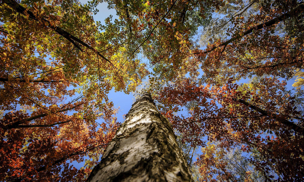Lo spettacolo dell’autunno