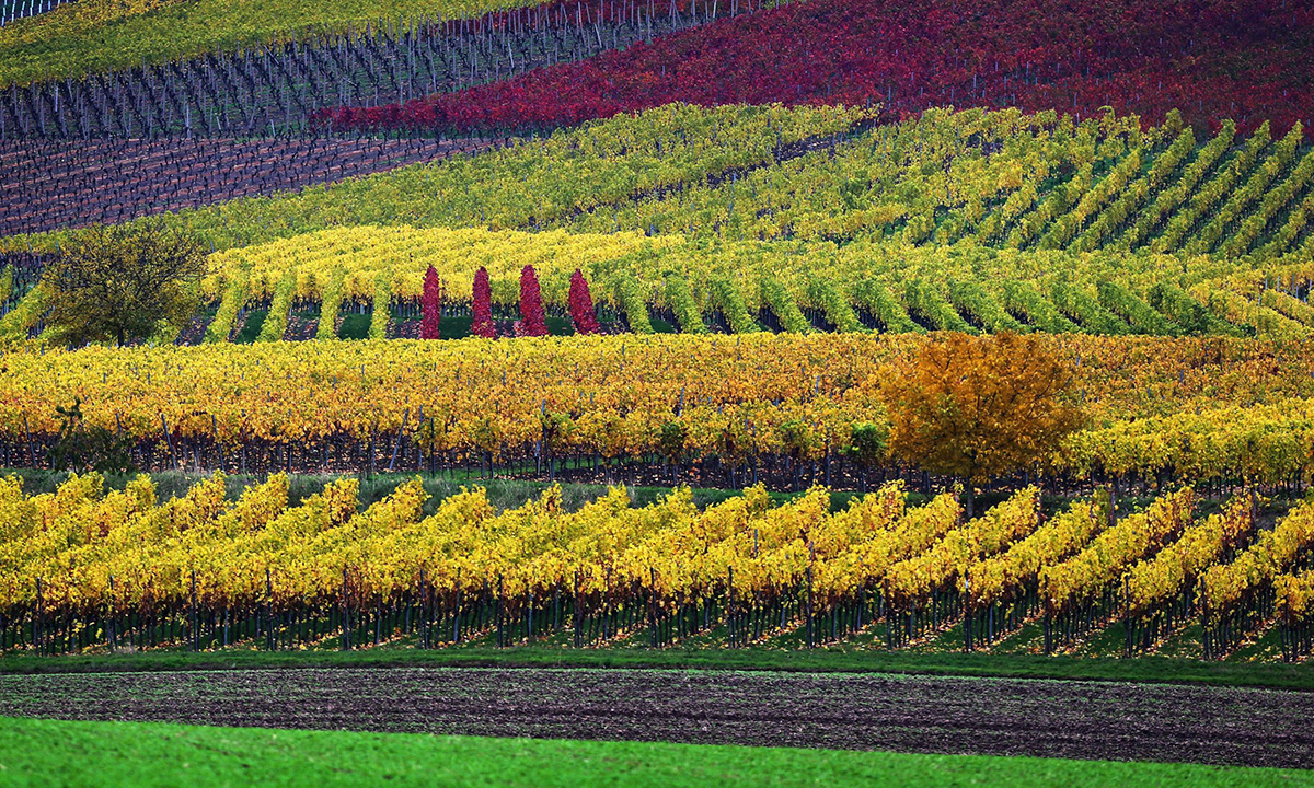 Lo spettacolo dell’autunno