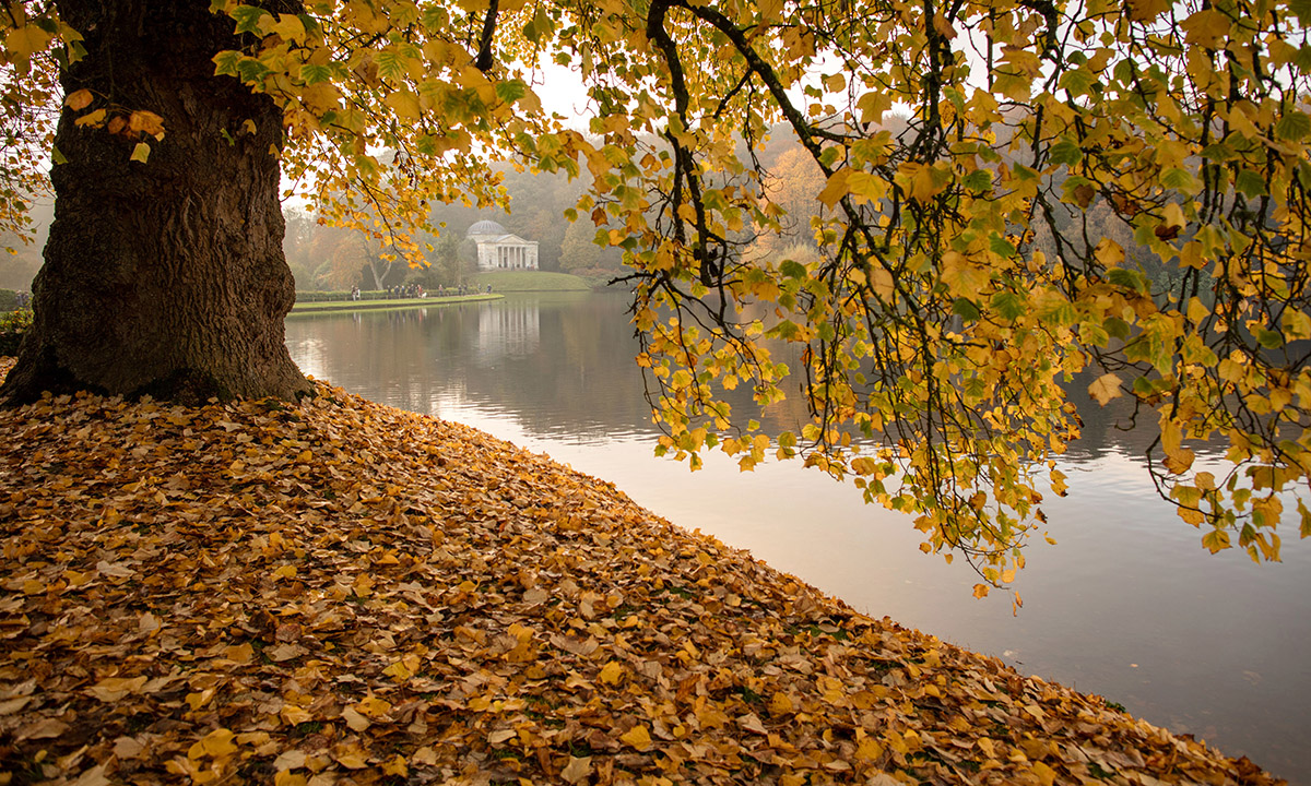 Lo spettacolo dell’autunno