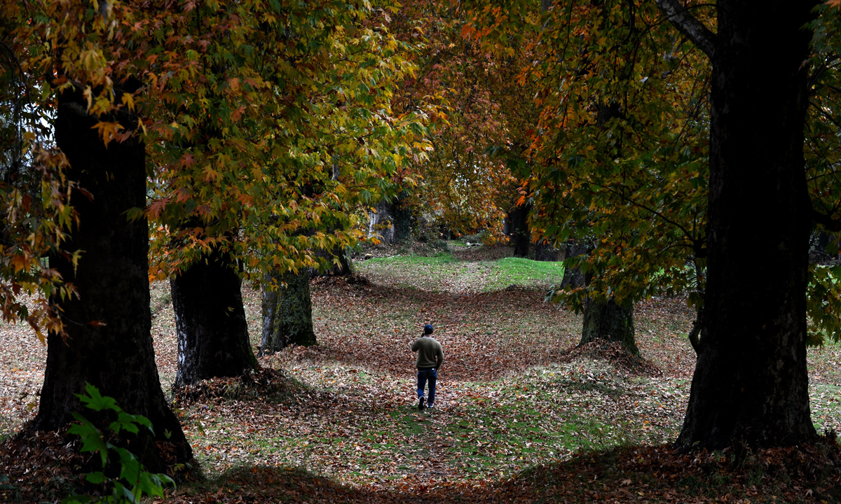 Lo spettacolo dell’autunno