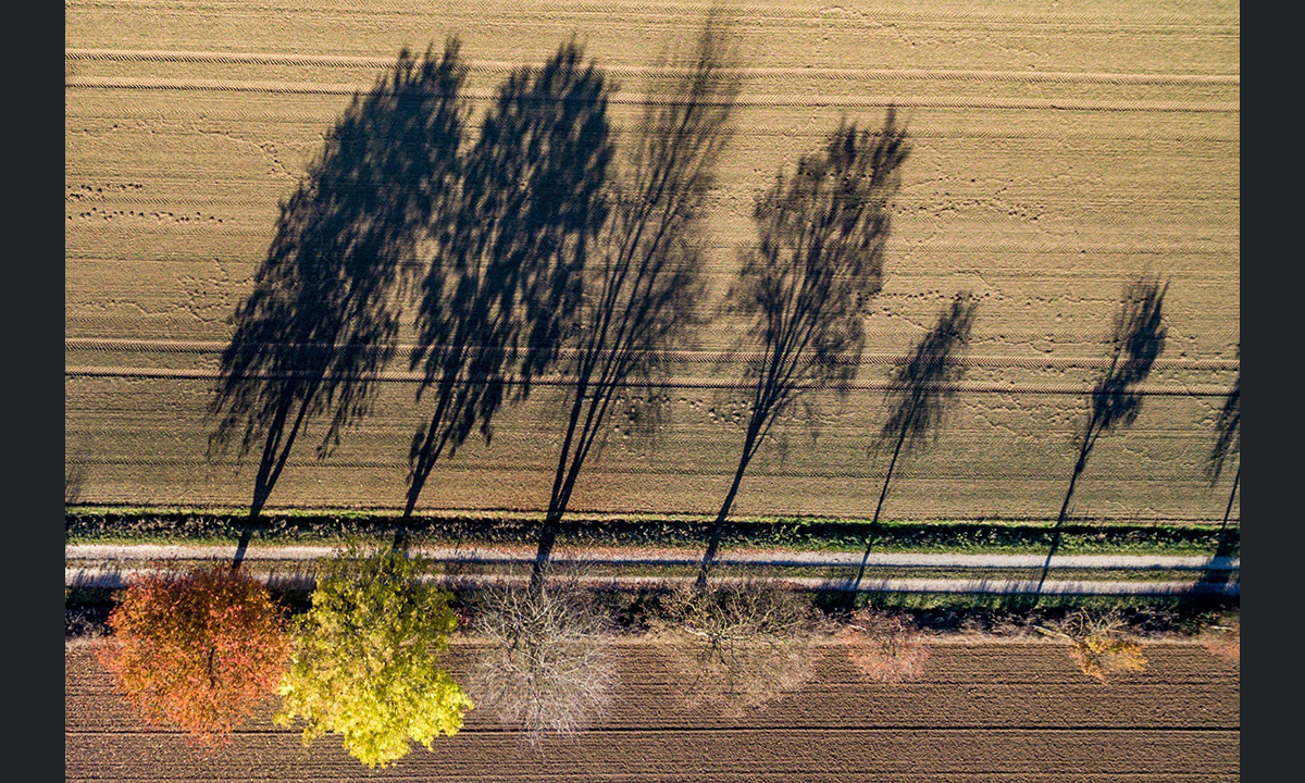 Lo spettacolo dell’autunno