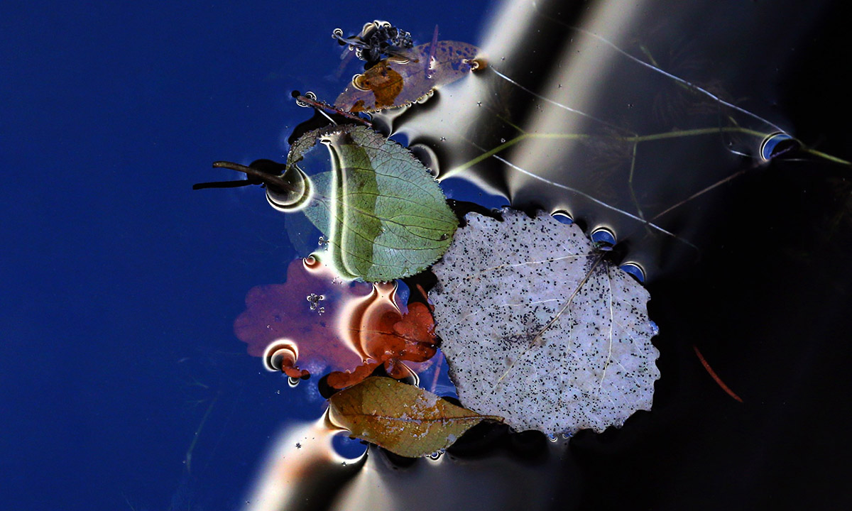 Lo spettacolo dell’autunno