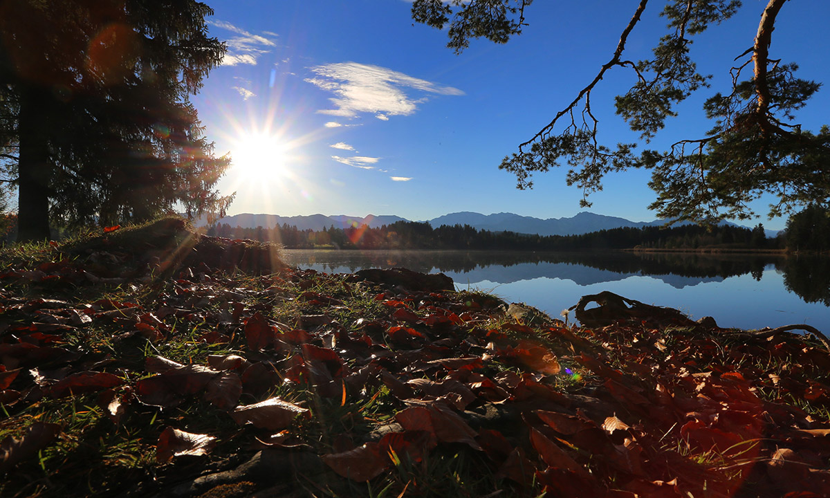 Lo spettacolo dell’autunno