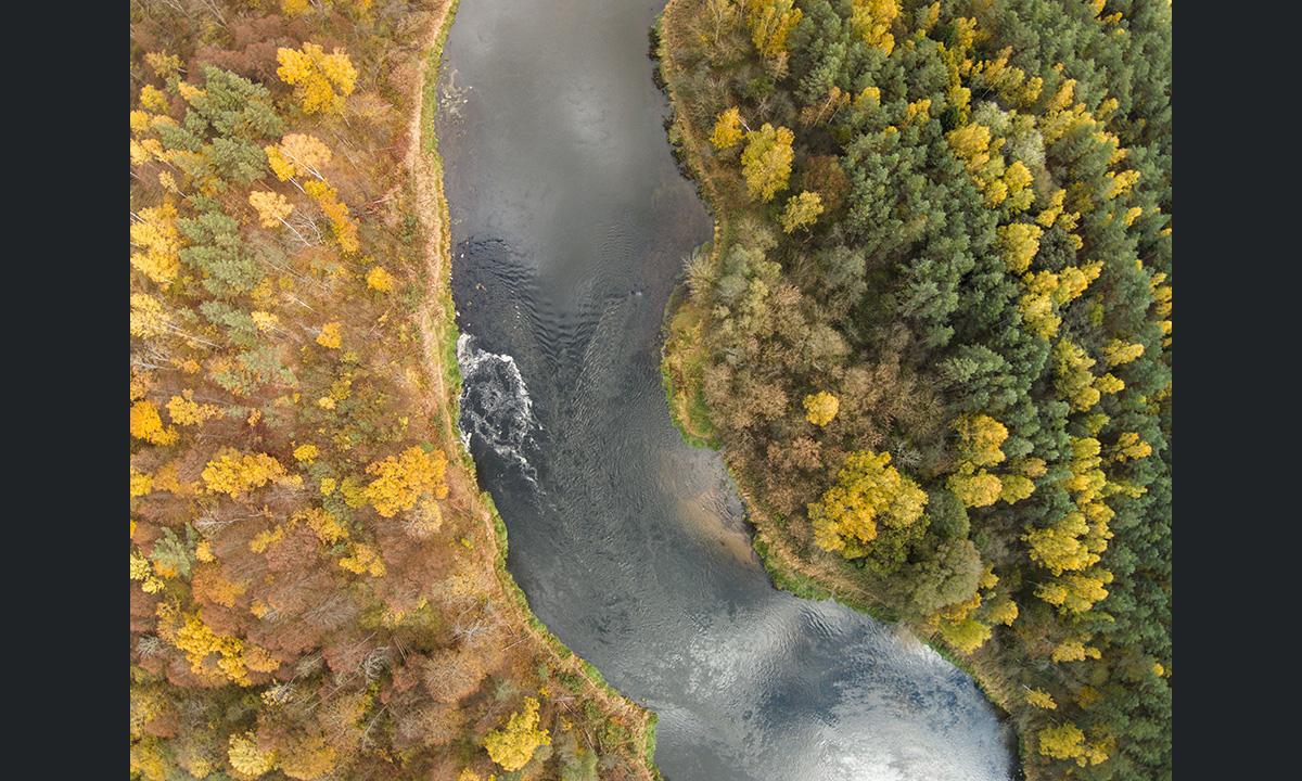 Lo spettacolo dell’autunno