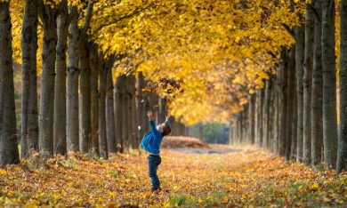 Lo spettacolo dell’autunno
