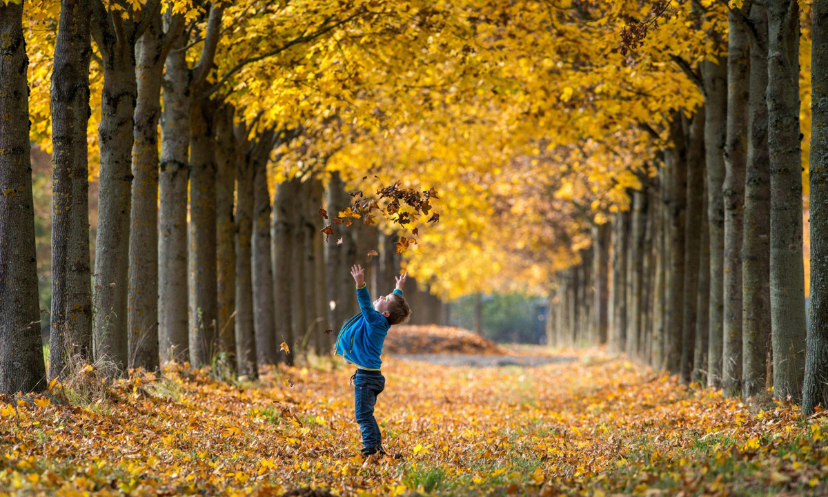 Lo spettacolo dell’autunno