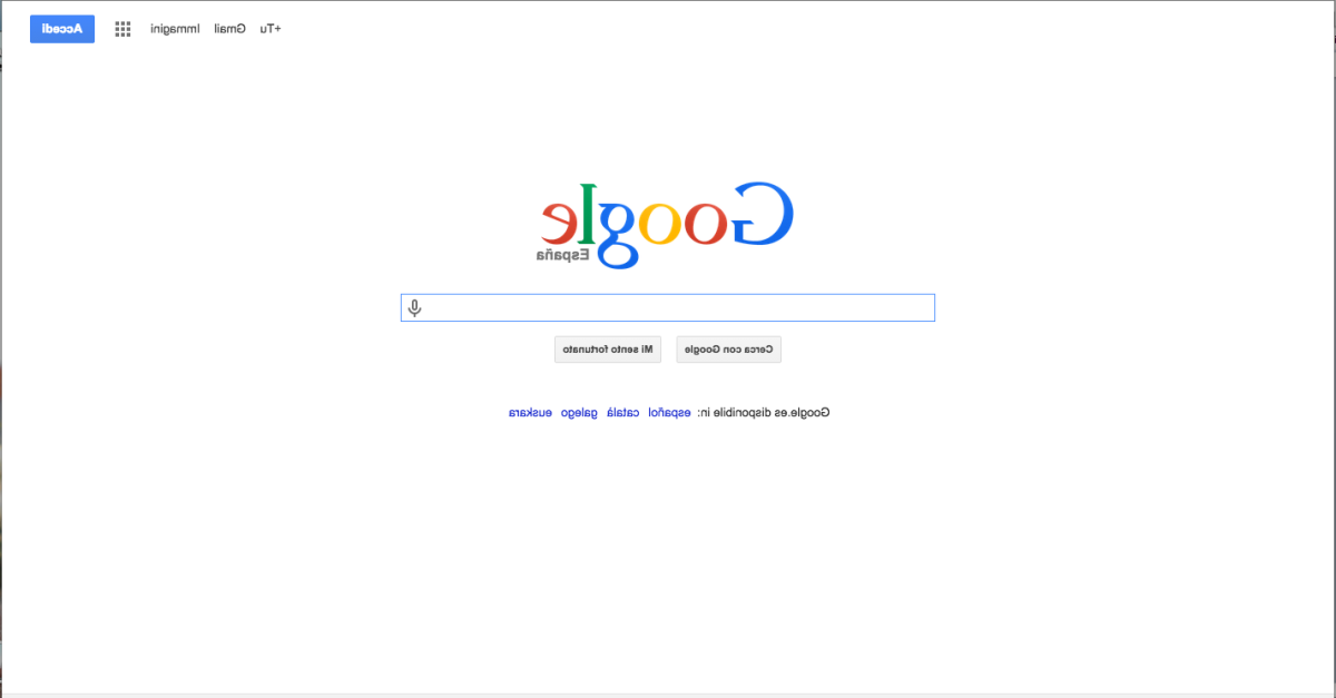 Galleria foto 'Google, il Doodle per Lucy l’Australopiteco' - foto 7