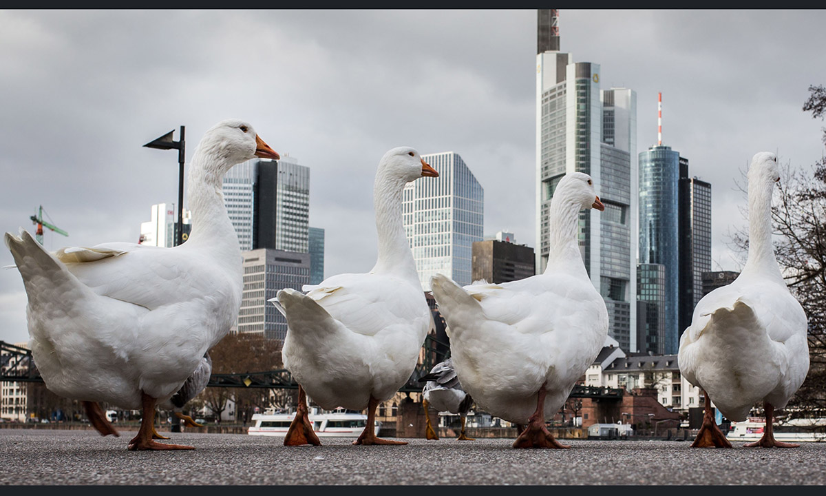 Le foto più belle della settimana – 14/20 novembre