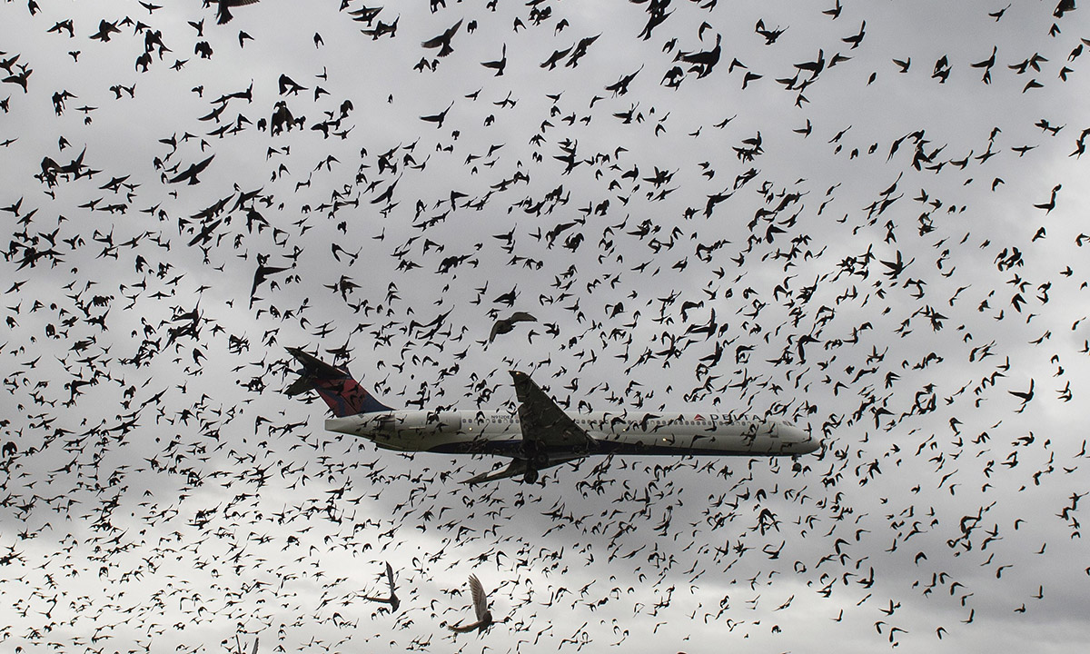 Le foto più belle della settimana – 14/20 novembre