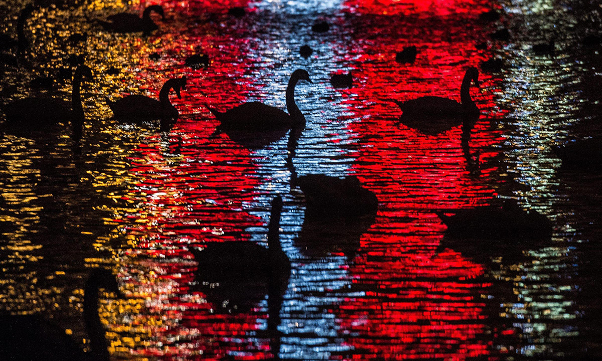 Le foto più belle della settimana – 14/20 novembre