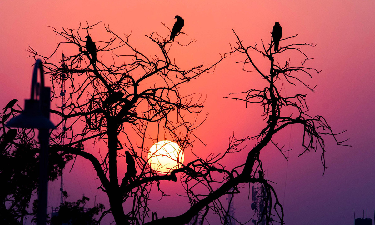 Le foto più belle della settimana – 14/20 novembre