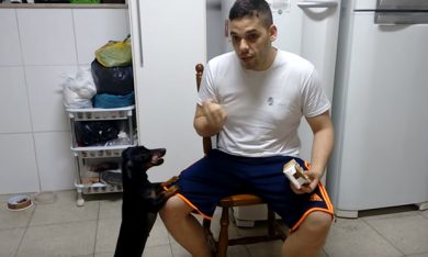 Psicologia inversa, con il cane