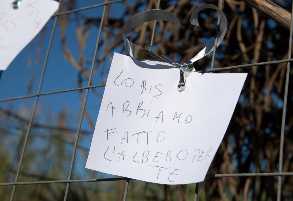 Galleria foto 'Morte di Loris, la madre: “Era in piedi e non respirava”' - foto 2