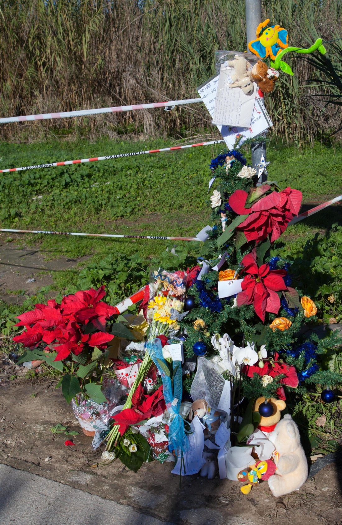 Morte di Loris, la madre: “Era in piedi e non respirava”