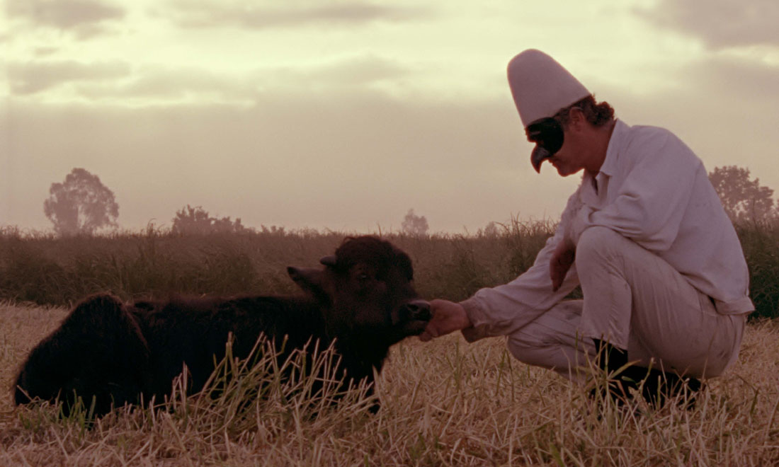 Hunger Games, Loro chi? e gli altri film in uscita al cinema, 19 novembre 2015