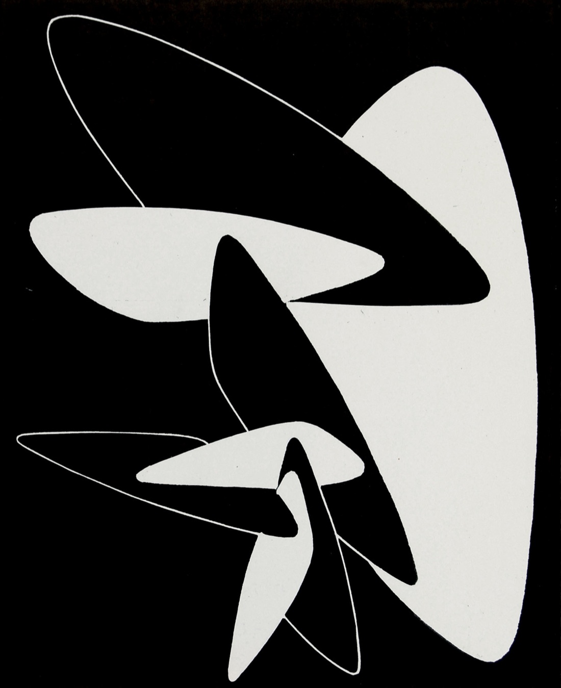 L’armonia della forma. Angelo Bozzola e il Movimento Arte Concreta