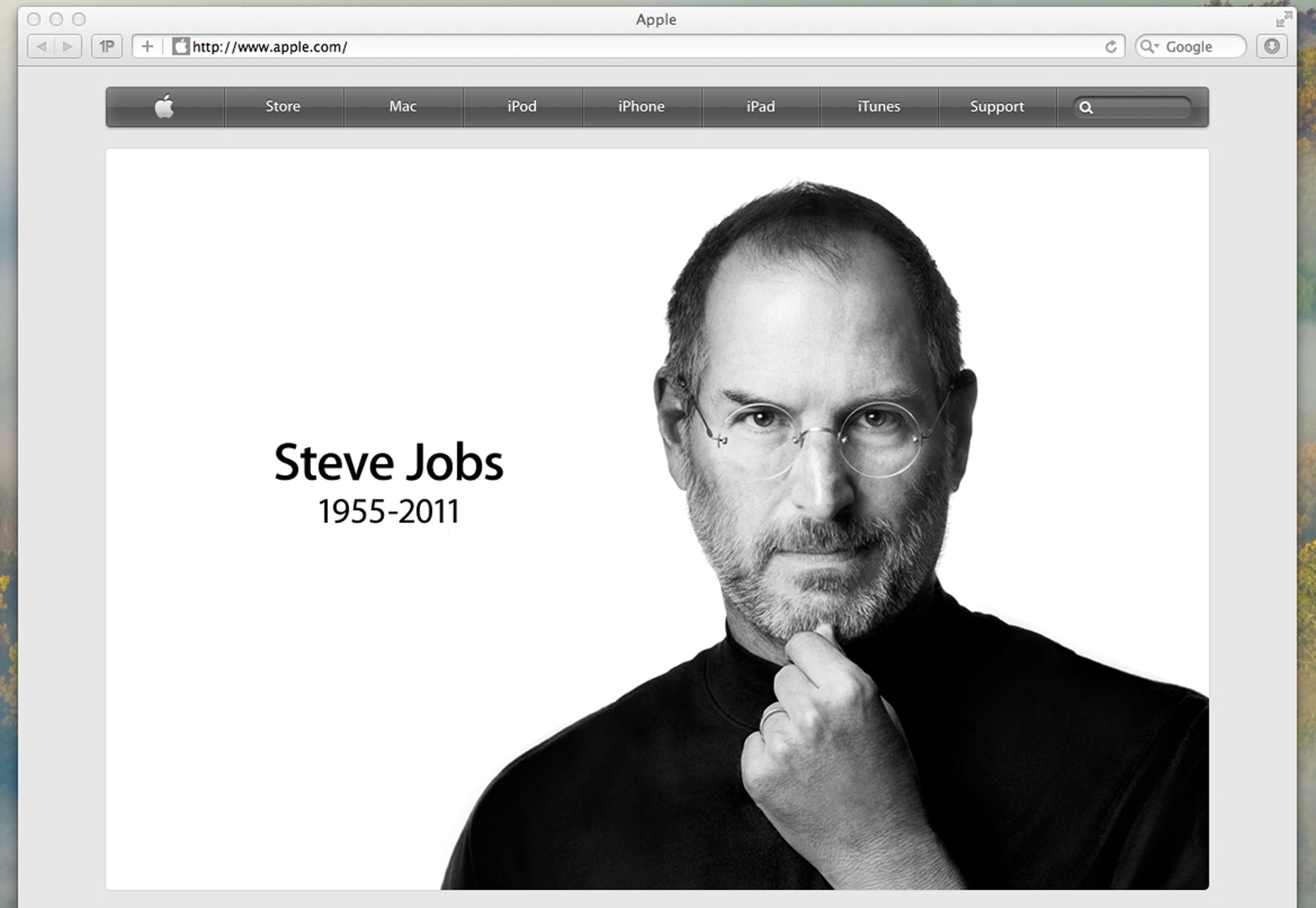 Le celebs amano la dieta “free” Le celebs amano la dieta “free”