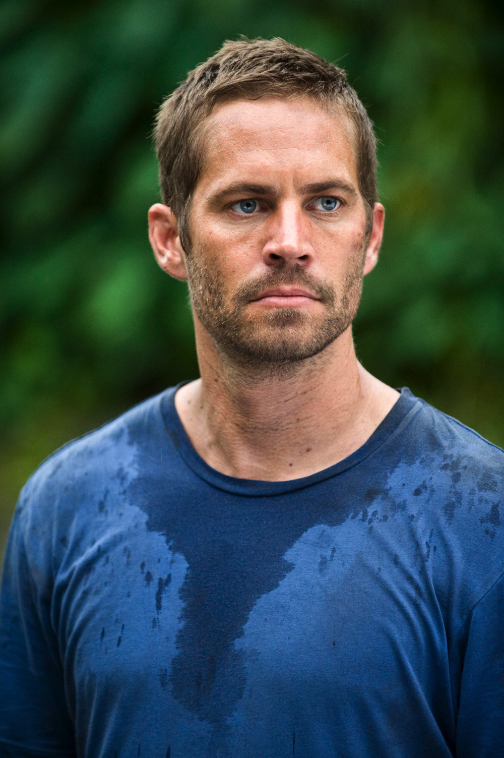 Porsche replica agli eredi di Paul Walker: “L’auto era tenuta male” Porsche replica agli eredi di Paul Walker: “L’auto era tenuta male”