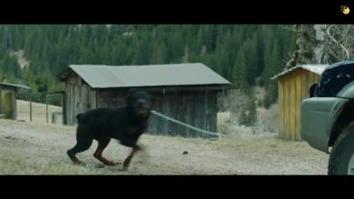 In fondo al bosco di Stefano Lodovichi: estratto del film