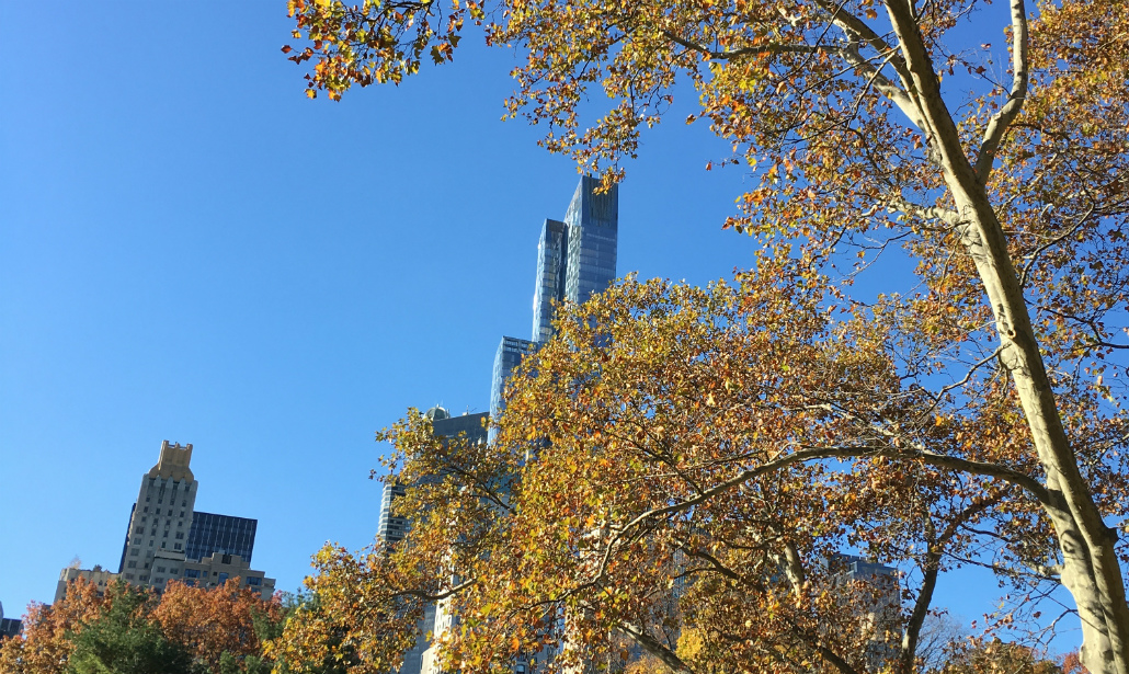 iPhone 6S, la pagella della fotocamera iPhone 6S, la pagella della fotocamera