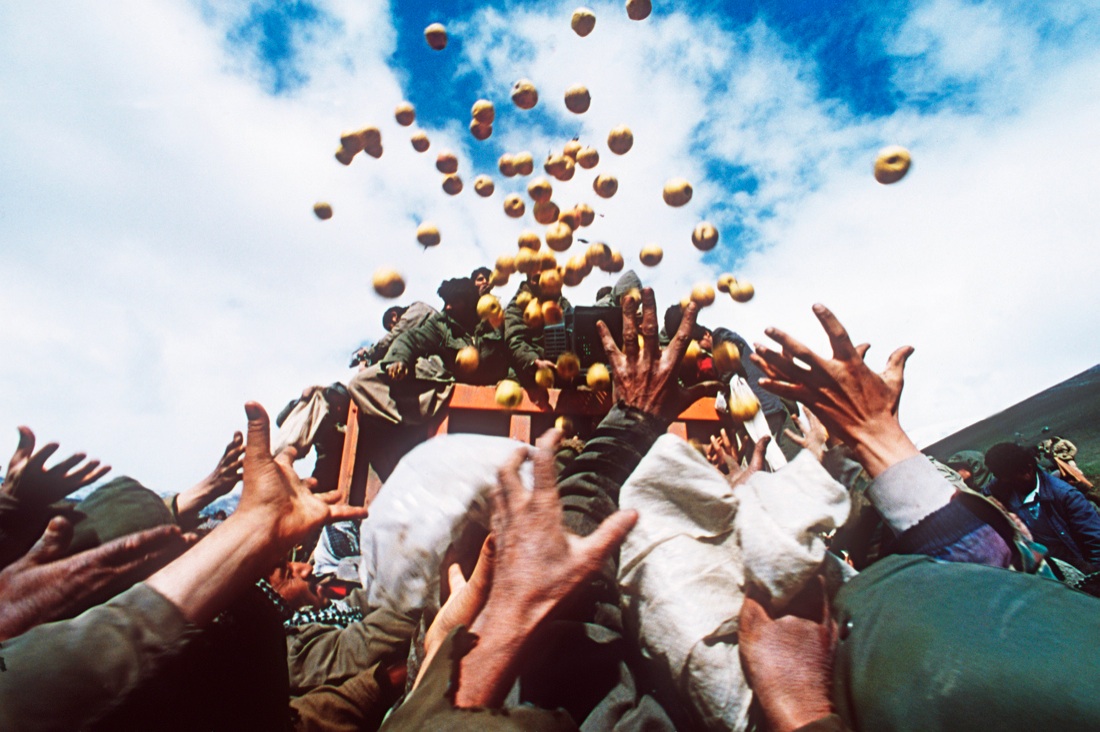 Kurdistan iracheno, liberata la città simbolo di Sinjar