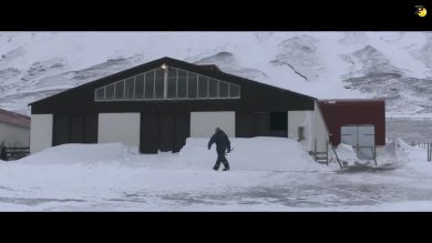 Rams – Storia di due fratelli e otto pecore: estratto del film