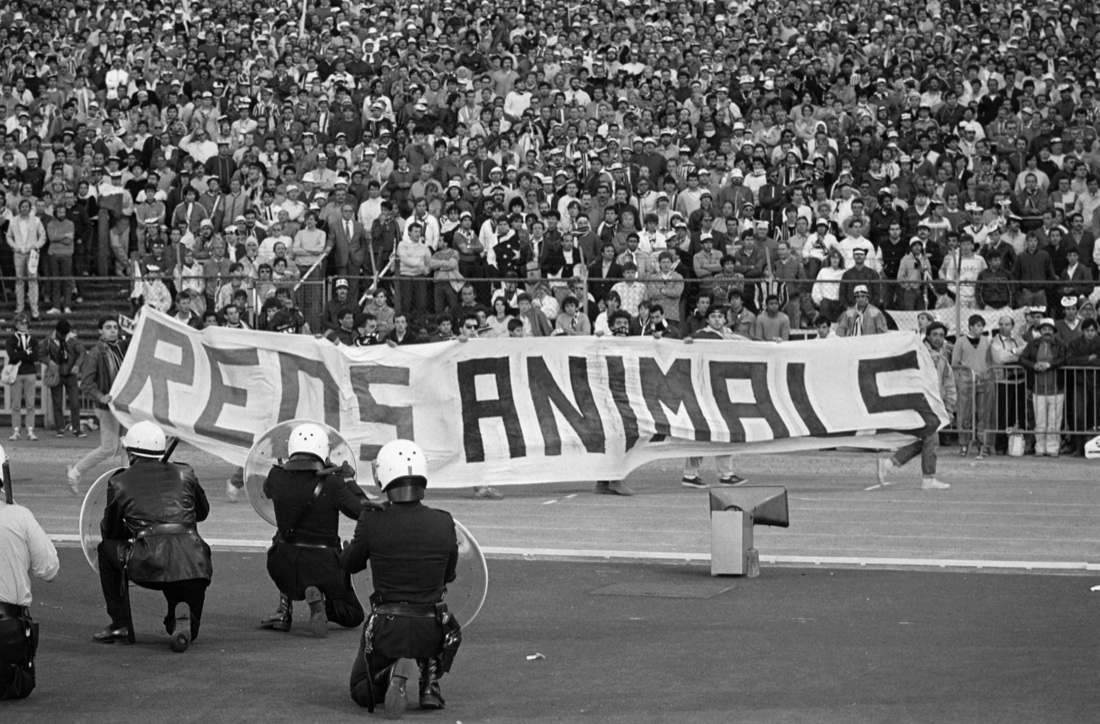 Tavecchio e la promessa mantenuta: ritirata la 39 in onore delle vittime dell’Heysel Tavecchio e la promessa mantenuta: ritirata la 39 in onore delle vittime dell’Heysel